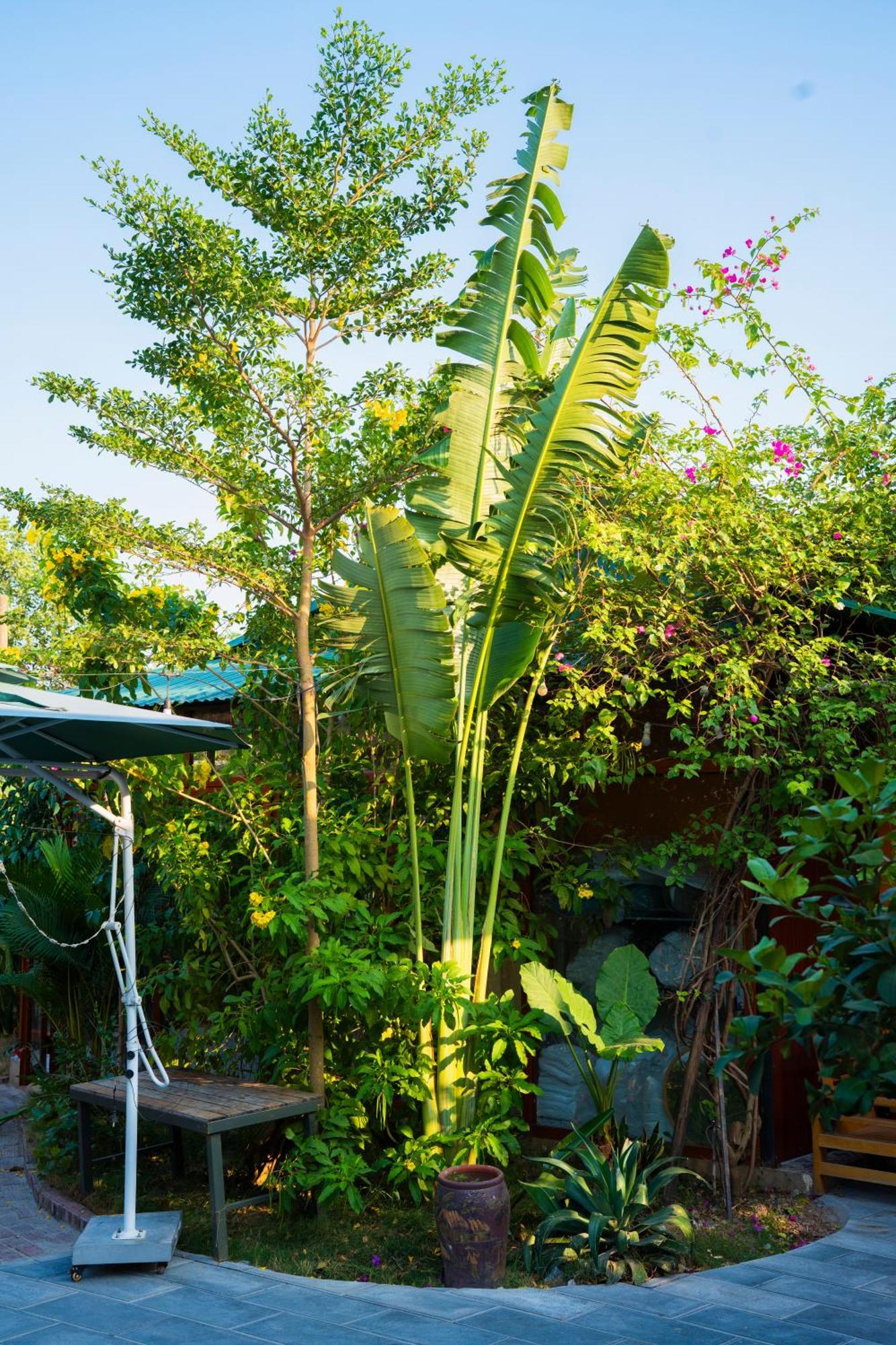 Rosa Garden Hotell Ninh Binh Eksteriør bilde
